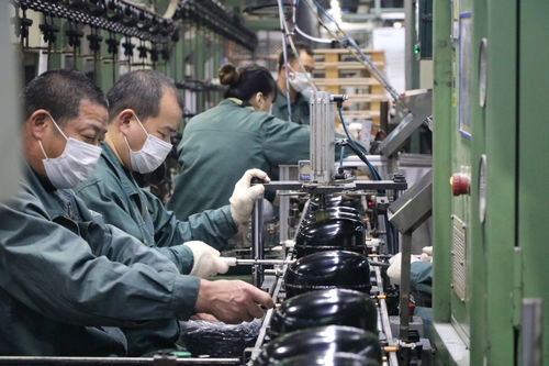 海外訂單激增，長虹電視與冰空洗產品同比大幅增長，網絡技術服務助力業(yè)務拓展